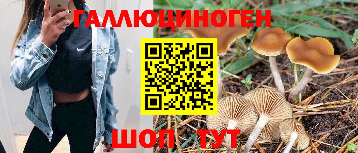 Изобильный  Псилоцибиновые грибы MAGIC MUSHROOMS  Вход с VPN 