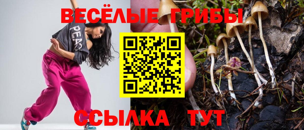 Псилоцибиновые грибы Psilocybine cubensis Изобильный